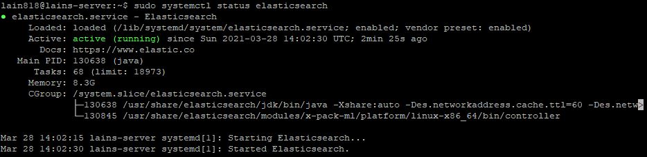 30. elasticsearch server working